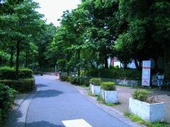 新高円寺　遊歩道-のコピー