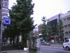 新高円寺青梅街道-のコピー