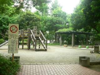 公園　中