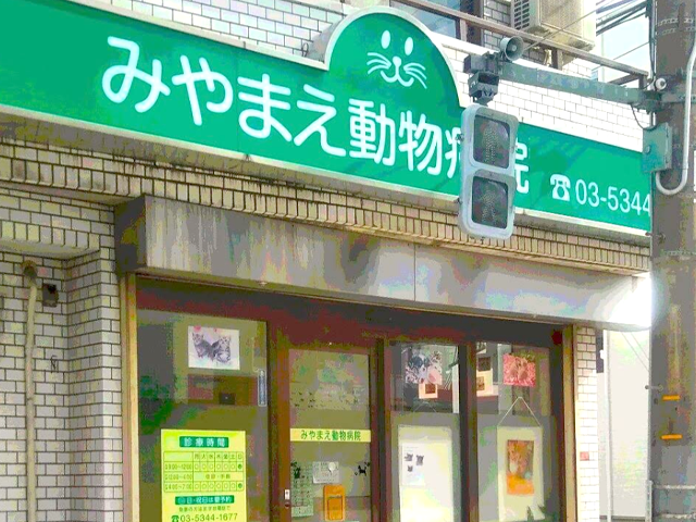 みやまえ動物病院