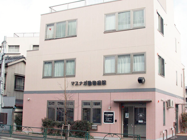 マスナガ動物病院